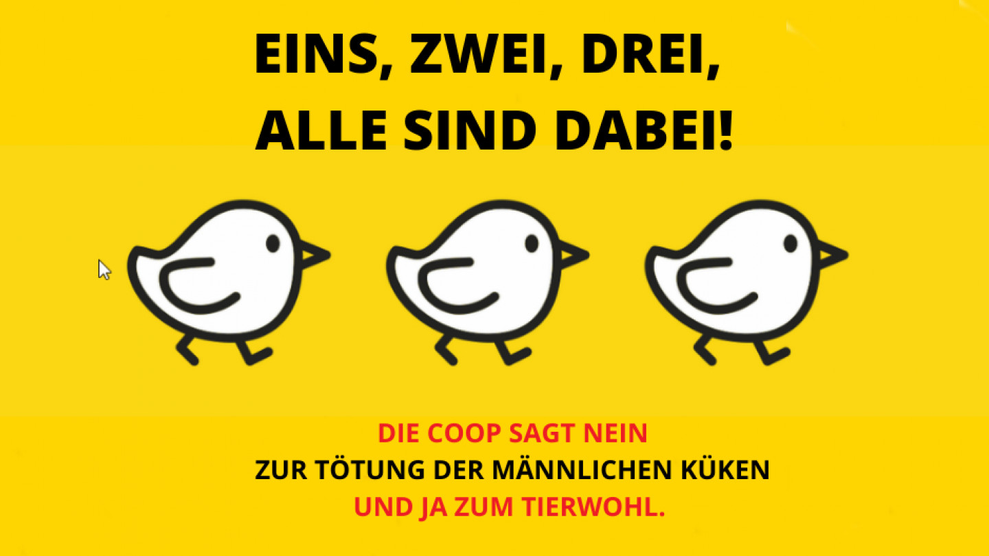 Küken