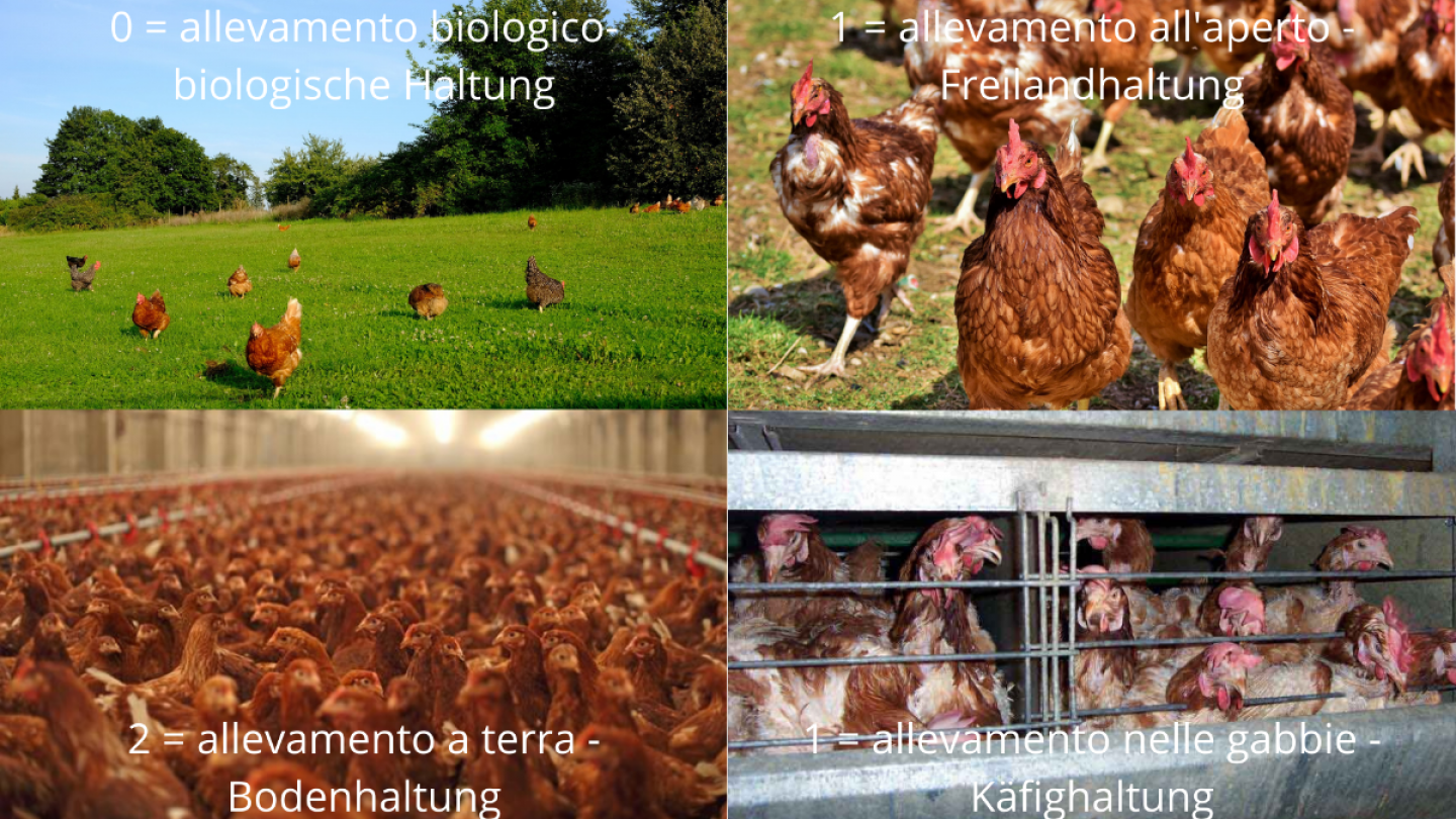 Tierhaltung